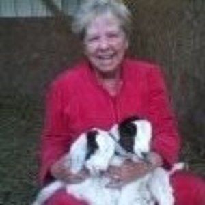 Meet your Posher, Gail